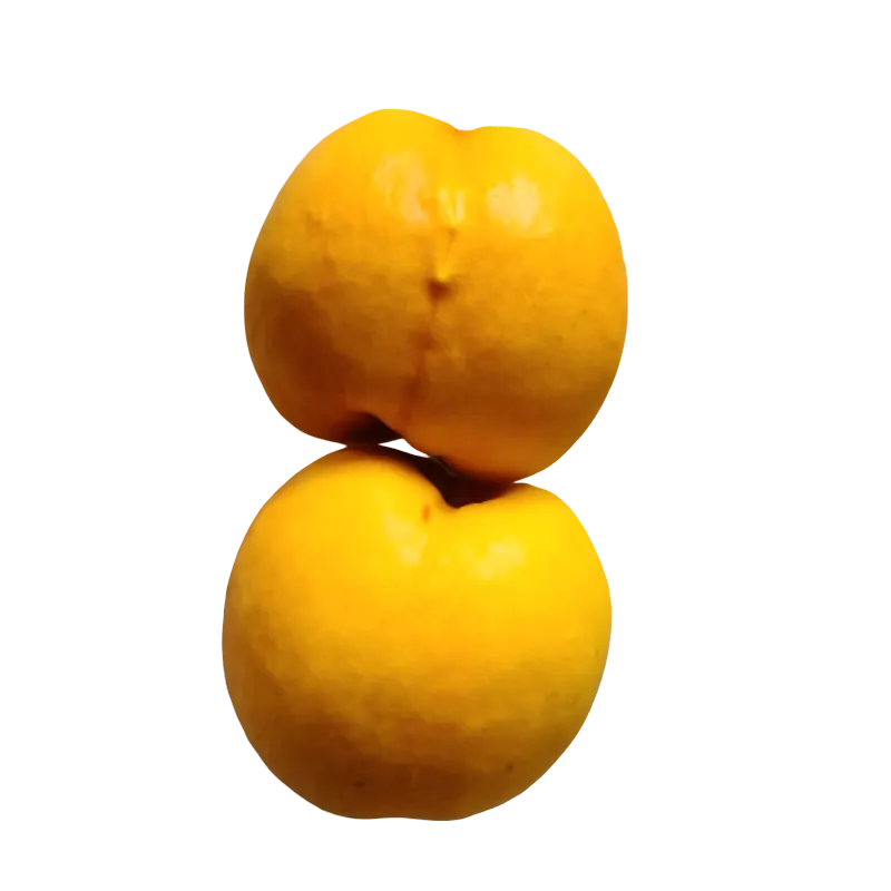 黄油桃 · 黄菊油